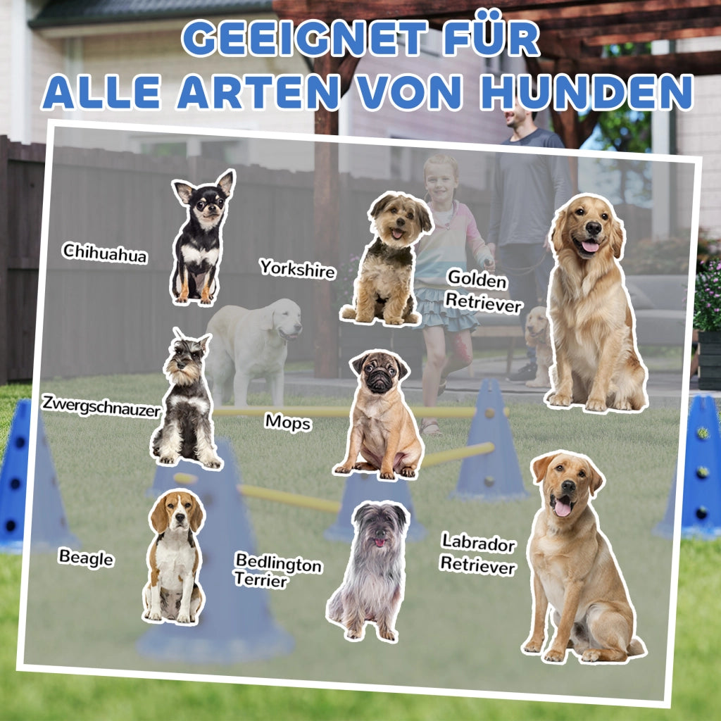 Set Agility per Cani ¨C Zephmum ¨C 6 Coni 3 Ostacoli Borsa Trasporto