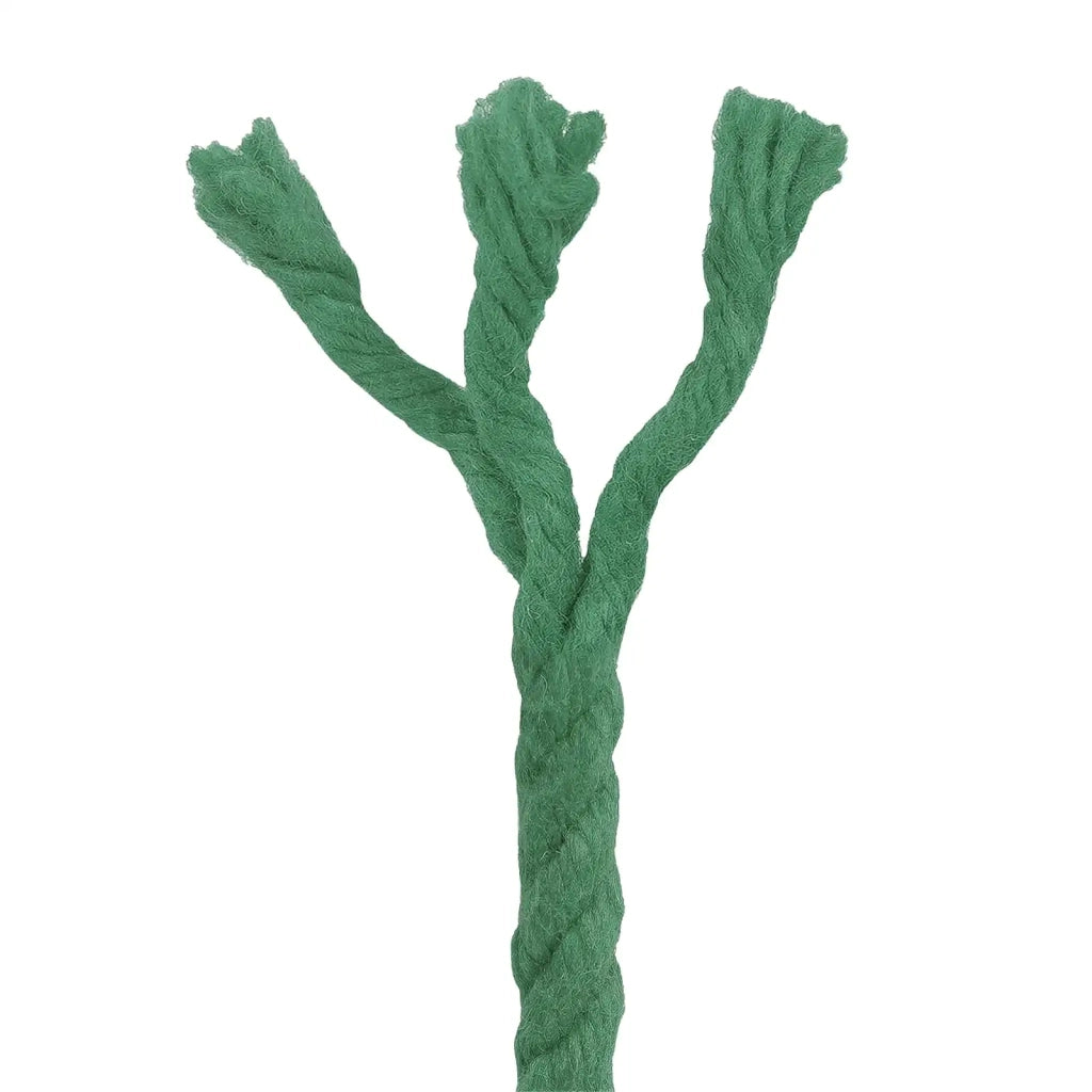 Corda Verde 0,6 x 0,6 x 10000 cm Cotone 42011948