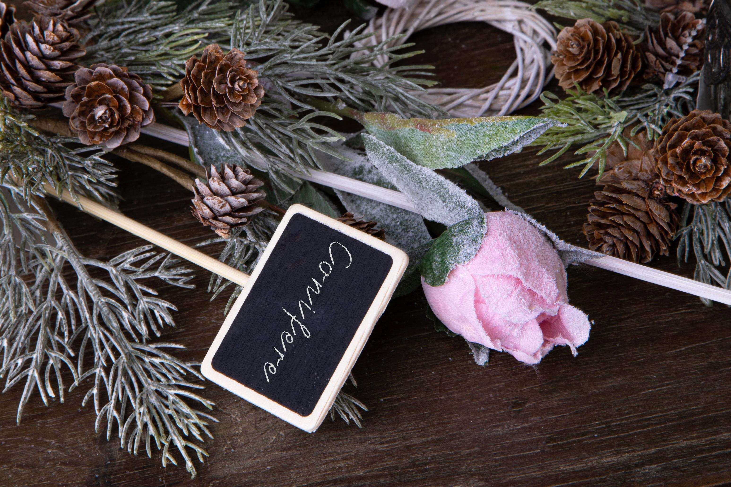 Set 12 Rami in Legno con Lavagne Rettangolare