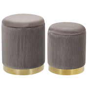Set di 2 pouf contenitore Rivestimento in velluto di poliestere grigio Base dorata Design moderno Ciuffo orizzontale Soggiorno pezzo