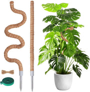 Sostegno in legno per Monstera - 2 pezzi - 120 cm/60 cm - Sostegno a piattaforma - Materiale duraturo - Sostegno per piante