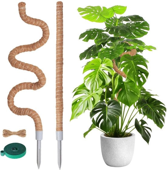 Sostegno in legno per Monstera - 2 pezzi - 120 cm/60 cm - Sostegno a piattaforma - Materiale duraturo - Sostegno per piante