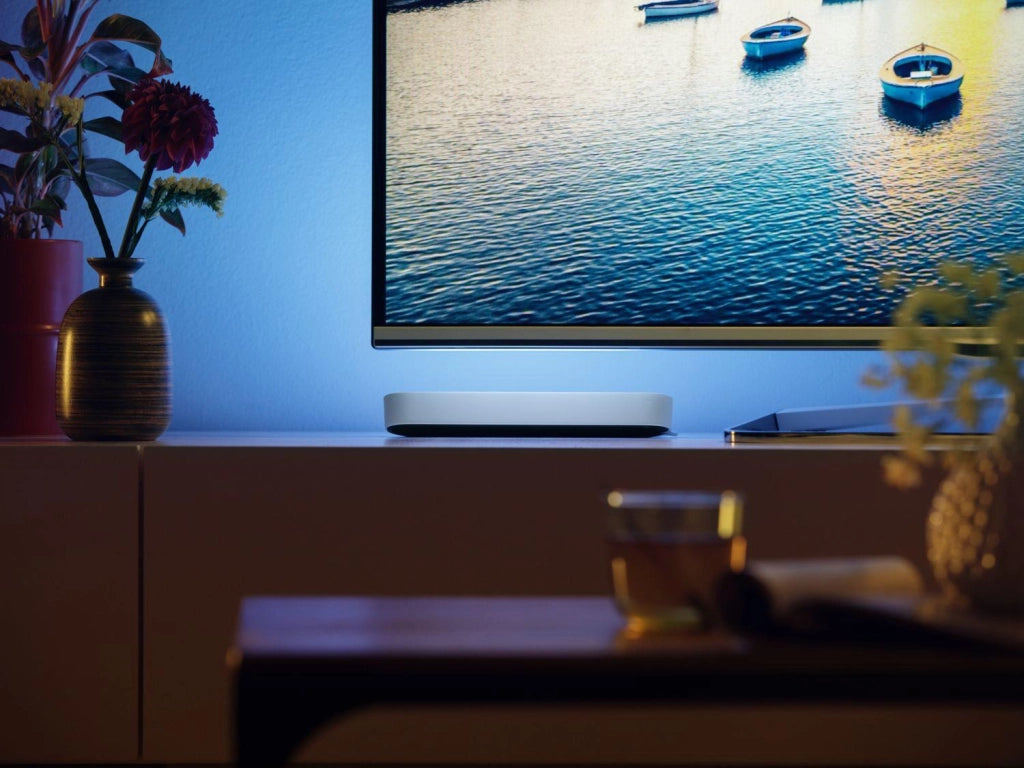 Philips Hue White and Color ambiance Barra luminosa Hue Play, confezione doppia