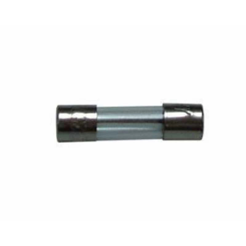 Confezione 10pz FUSIBILE 10 Amp per MICROONDE E VARI Dimensioni 5x20mm - UNIVERSALE