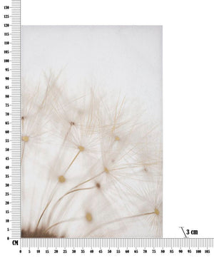 Stampa Dipinta Tin 80x3x120 cm in Legno e Tessuto