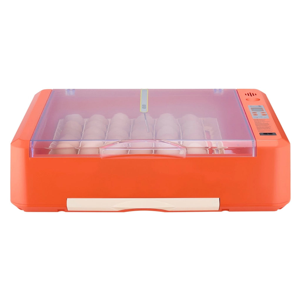 Incubatrice Automatica per 36 Uova in ABS e PET con Candela a LED Display Temperatura e Controllo Umidità