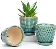 Set di vasi ceramici rotondi per piante succulente con ciotola e foro di drenaggio - per cactus e piante grasse - per uso interno ed esterno - diametro 11,2 cm