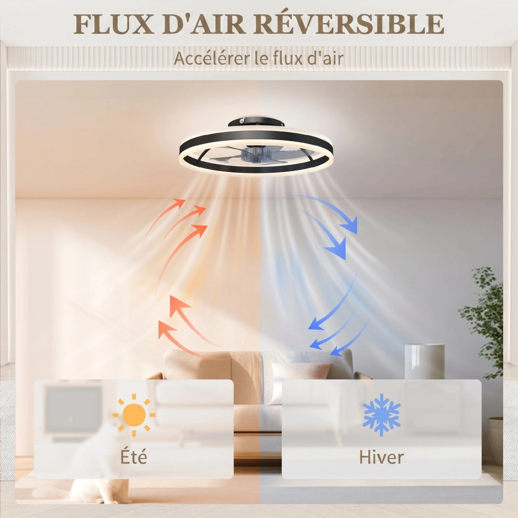 Ventilatore a Soffitto con Luce e Telecomando ¨C Zephmum ¨C Nero 50 cm