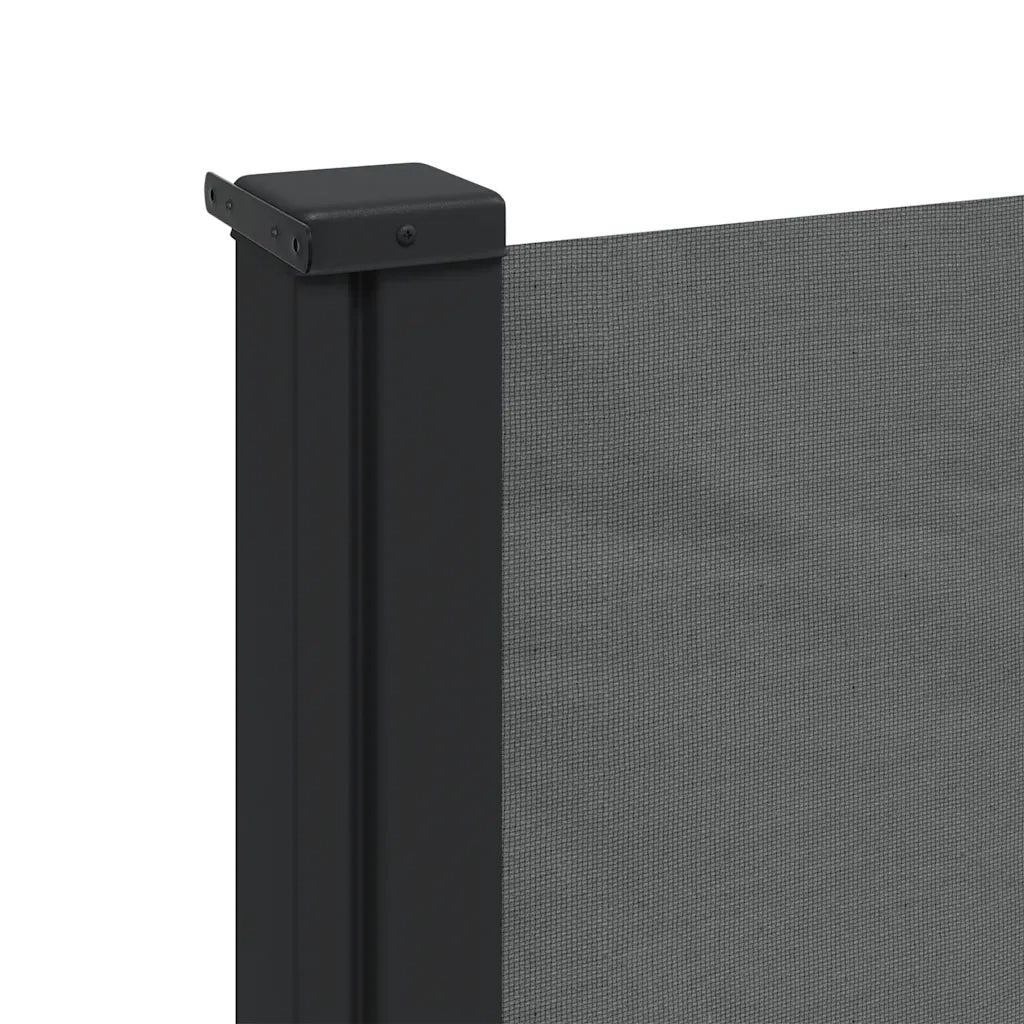 Tenda da Sole Laterale Retrattile-Tenda parasole per balcone antracite 120x600 cm 921979