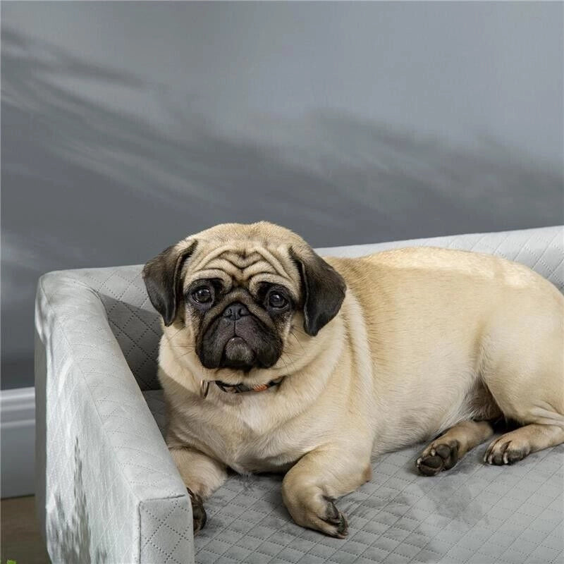 DIVANETTO PER CANI E GATTI STILE SCANDINAVO CON CUSCINO IMBOTTITO IN VELLUTO E LEGNO, 64X45X36CM, GRIGIO