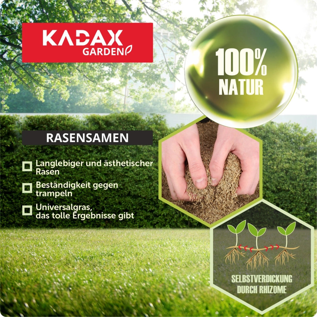 Semi per prato KADAX 15 kg Universali Autocompattanti Resistenti al calpestio 600 m²