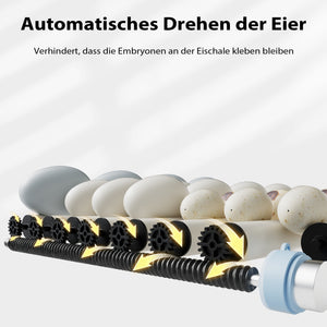 Fudajo Incubatrice di superficie completamente automatica 48 uova Covatrice polli, anatre, pulcini