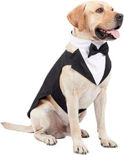 Set di Bandana per Cane Grande per Feste - XXL