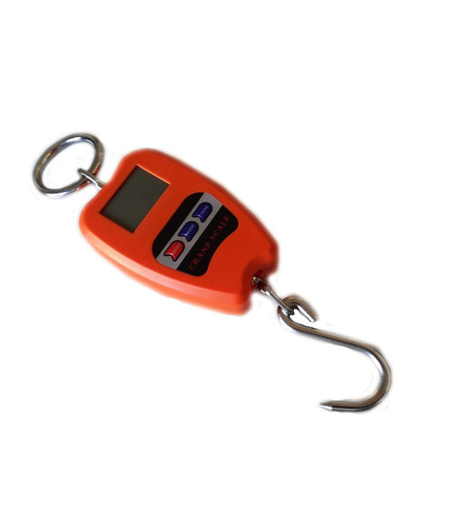 Bilancia Digitale Professionale Gancio Dinamometro Molla 200 Kg Sospesa Molla         