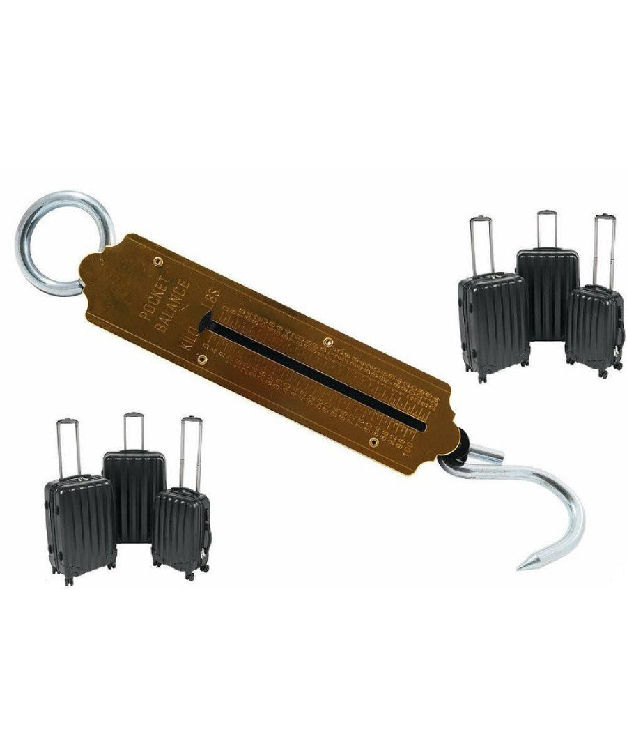 Bilancia Dinamometro A Molla Meccanica Fino 100 Kg Bilancia Pesa Bagagli 100 Kg         