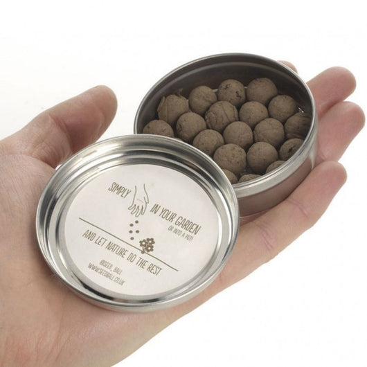 Bird Mix - mix di semi di fiori di campo Miscela Uccellini, confezione in alluminio