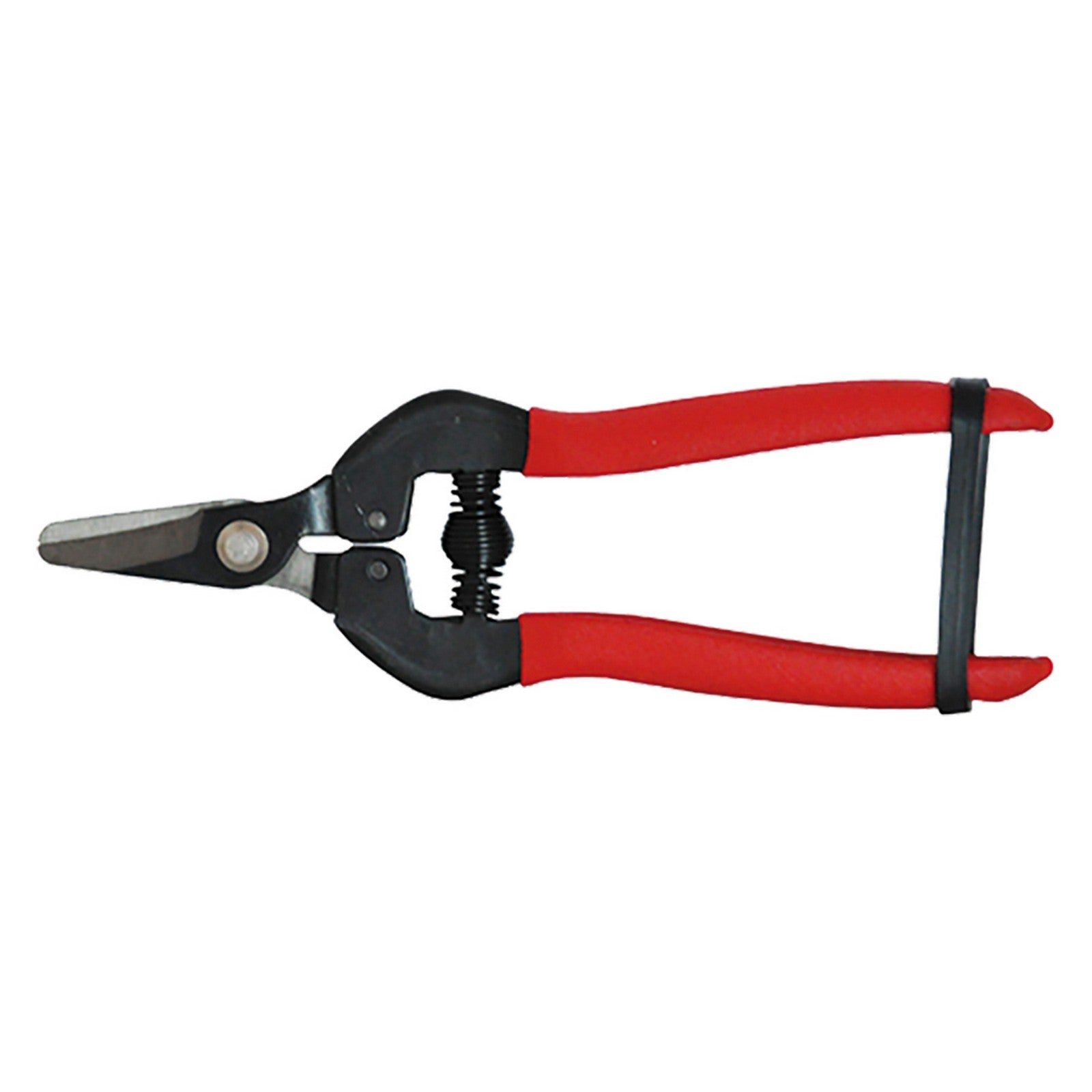 1blister forbici cogliuva cm 16 - pz. 1 cod:ferx.060250nlm