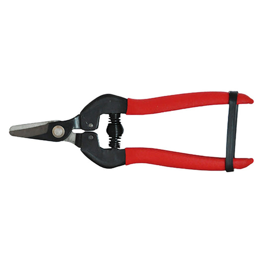 1blister forbici cogliuva cm 16 - pz. 1 cod:ferx.060250nlm