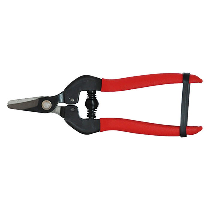 1blister forbici cogliuva cm 16 - pz. 1 cod:ferx.060250nlm