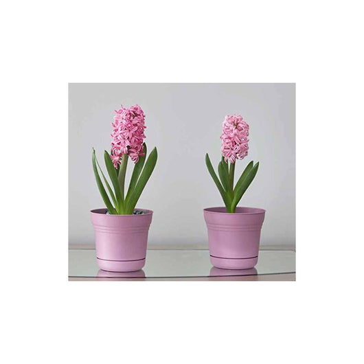 Bloem SP1020 - Vaso per fiori Saturn, 25,4 cm Colore: Tequila Sunrise