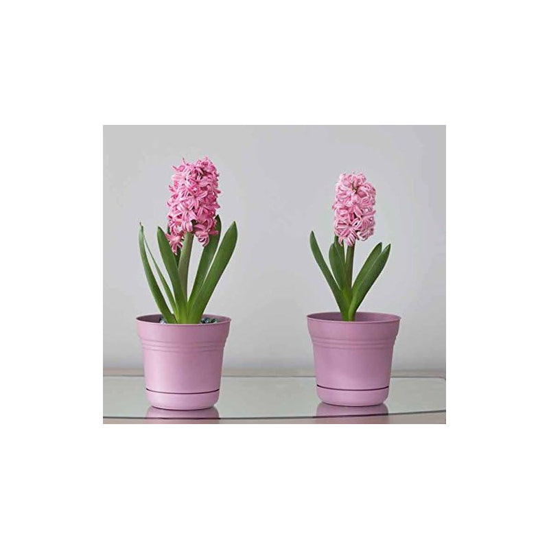 Bloem SP1020 - Vaso per fiori Saturn, 25,4 cm Colore: Tequila Sunrise