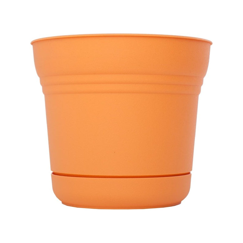 Bloem SP1020 - Vaso per fiori Saturn, 25,4 cm Colore: Tequila Sunrise