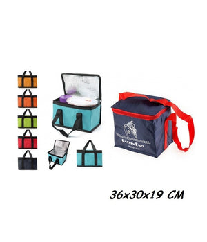 Borsa Termica 36x30x19 Cm Frigo Porta Pranzo Spiaggia Mare Escursione Pic Nic         