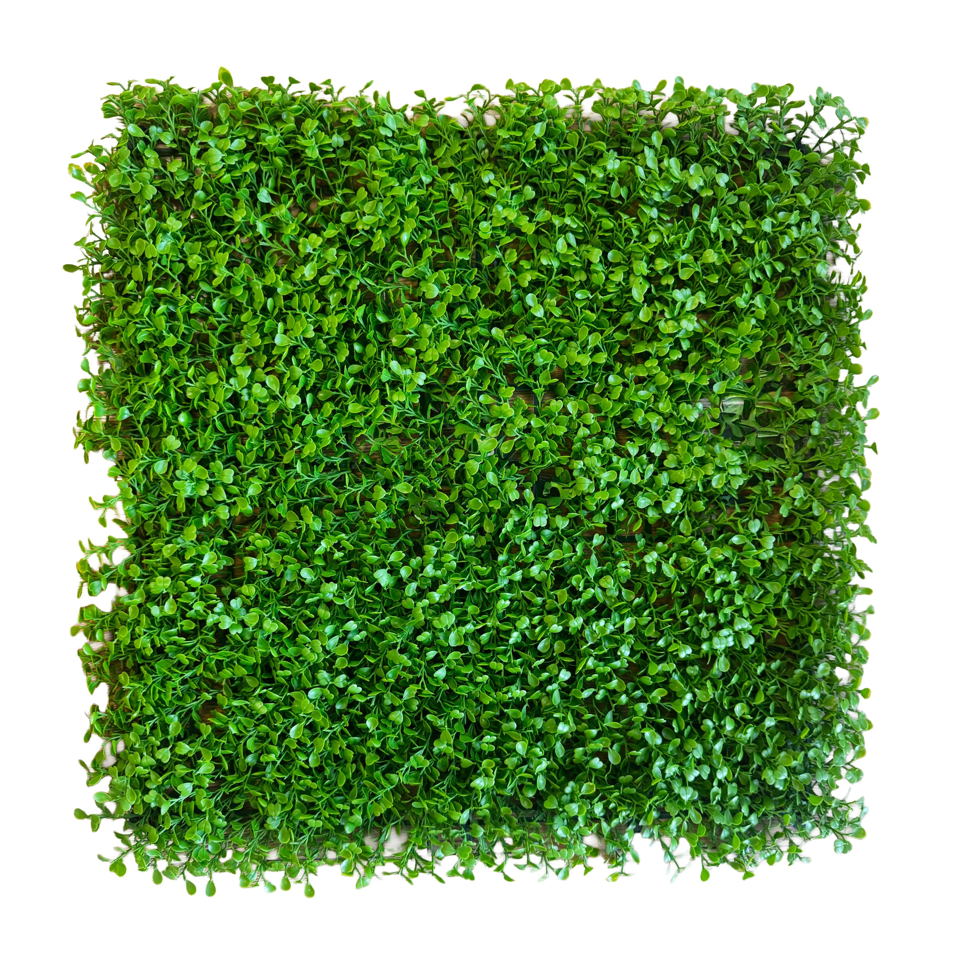 Pannelli Verde Verticale 50×50 cm Ultra-realistici e folti, per interno/esterno BOSSO GENTILE - Eternal Parquet