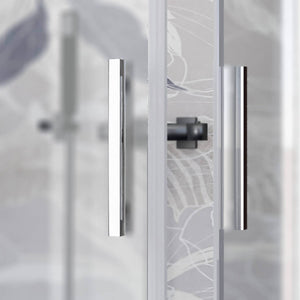 Box Doccia H195 Satinato 6mm Doppia Porta Scorrevole - 70x120