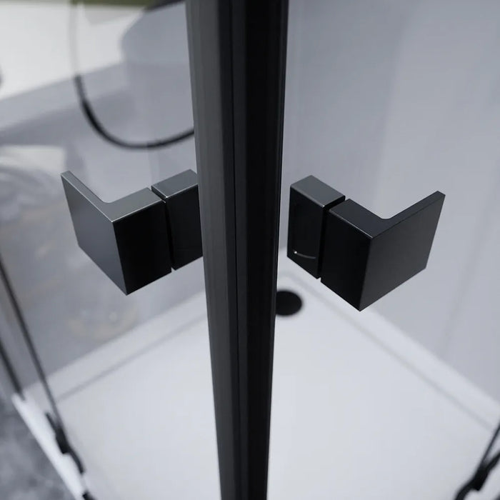 Box doccia 80x100cm doppio battente con cerniere profili nero opaco e vetro da 8mm trasparente h195 | Fiji