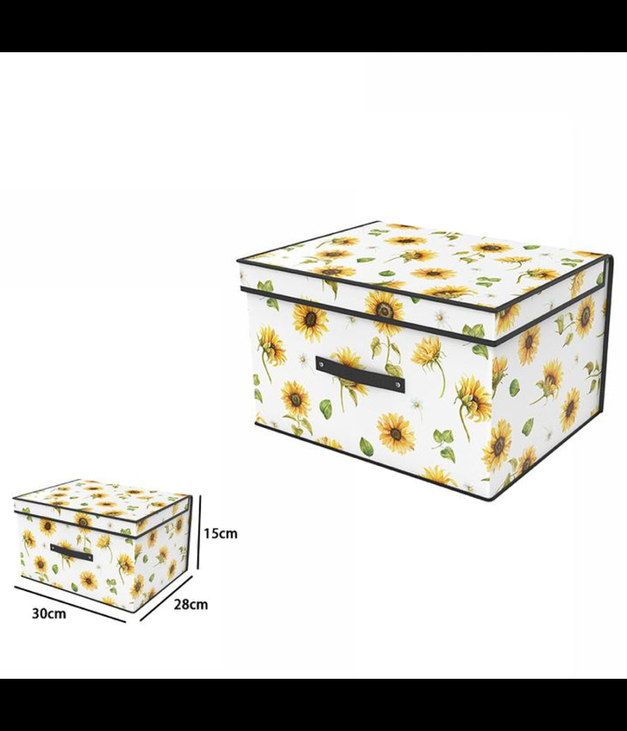 Box Scatola Salvaspazio Armadio Contenitore Porta Oggetti Organizer 30x28x15         