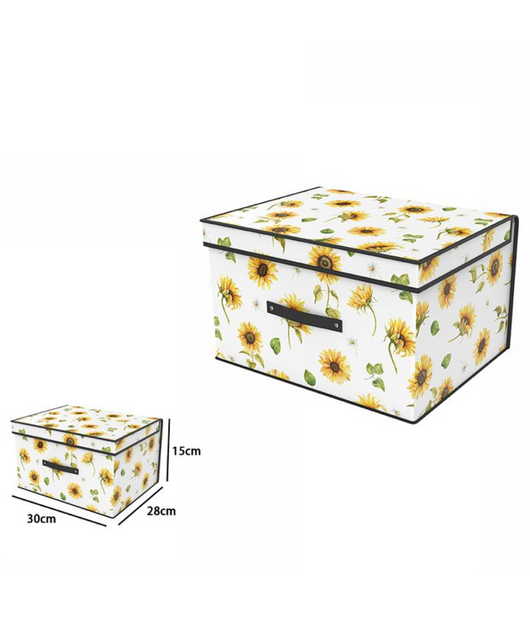 Box Scatola Salvaspazio Armadio Contenitore Porta Oggetti Organizer 30x28x15         