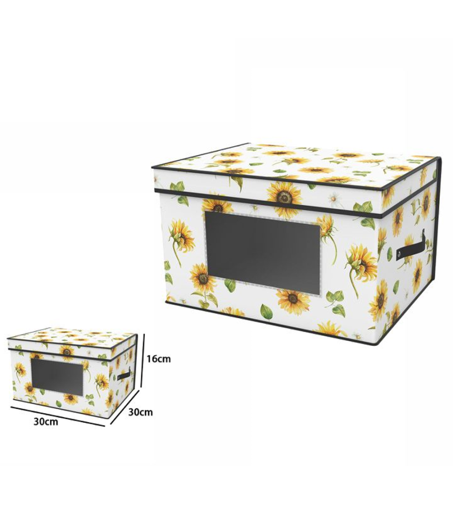 Box Scatola Salvaspazio Armadio Contenitore Porta Oggetti Organizer 30x30x16         