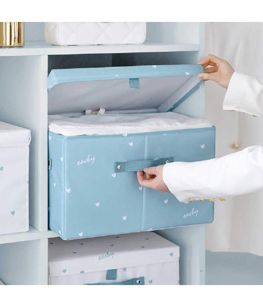 Box Scatola Salvaspazio Armadio Contenitore Porta Oggetti Organizer 35x30x20 Cm         