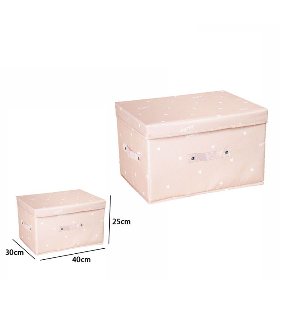 Box Scatola Salvaspazio Armadio Contenitore Porta Oggetti Organizer 40x30x25 Cm         
