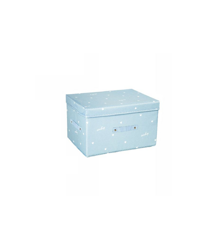 Box Scatola Salvaspazio Armadio Contenitore Porta Oggetti Organizer 40x30x25 Cm         