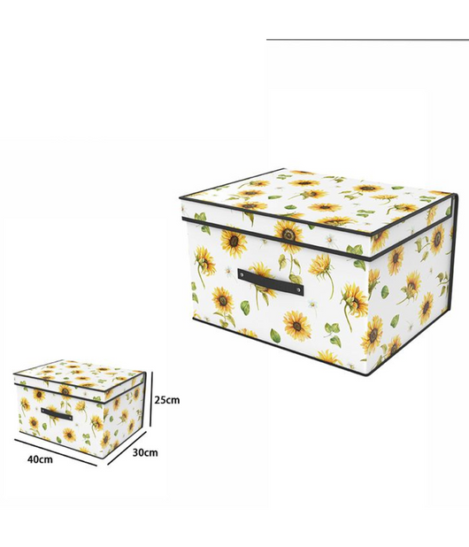 Box Scatola Salvaspazio Armadio Contenitore Porta Oggetti Organizer 40x30x25         