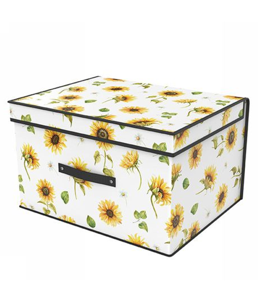 Box Scatola Salvaspazio Armadio Contenitore Porta Oggetti Organizer 41x35x20         