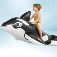 58561NP - Cavalcabile Orca Cm 193X119