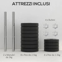 Set Pesi Manubri da 30 kg (8x2.5 kg, 4x1.5 kg) con 12 Dischi e 2 Manubri da 2 kg, 43x18x7.5 cm, Nero
