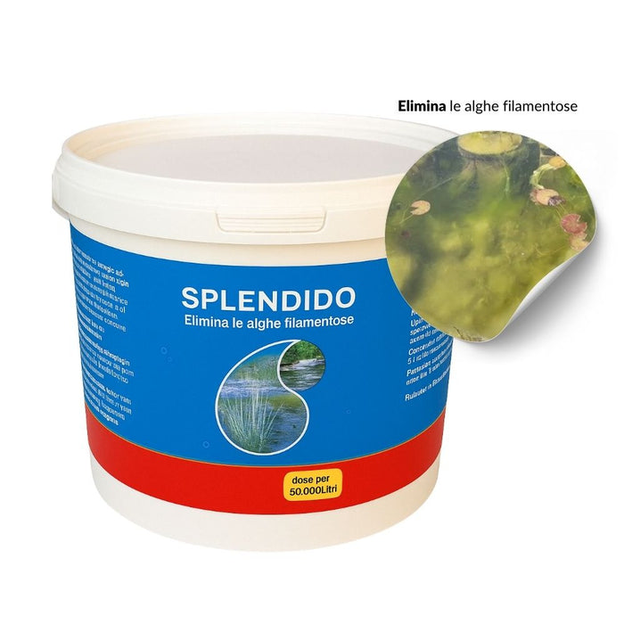 Antialghe splendido per laghetto in secchiello per litri 50000