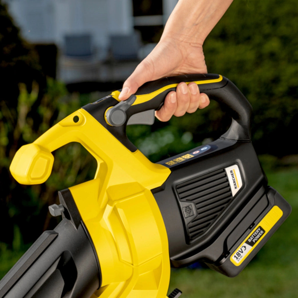 Karcher Aspirapolvere a batteria BLV 18-200 Battery