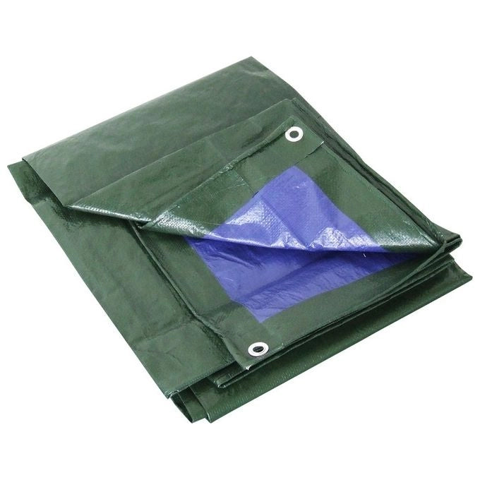 Prestige Telone PVC Rinforzato con Occhielli 8x10 m Impermeabile Antistrappo Doppia Laminazione 100 gr-mq colore Verde