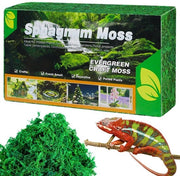 Sfagno Premium - Substraato Naturale per Reptili - Ideale per Piante e Terrario - Colore Verde Scuro - Substrato Naturale per Reptili - Adatto per G...