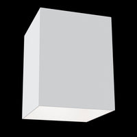 Plafoniera Ceiling & Wall in Alluminio Alfa Bianco