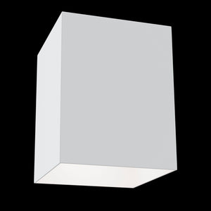 Plafoniera Ceiling & Wall in Alluminio Alfa Bianco