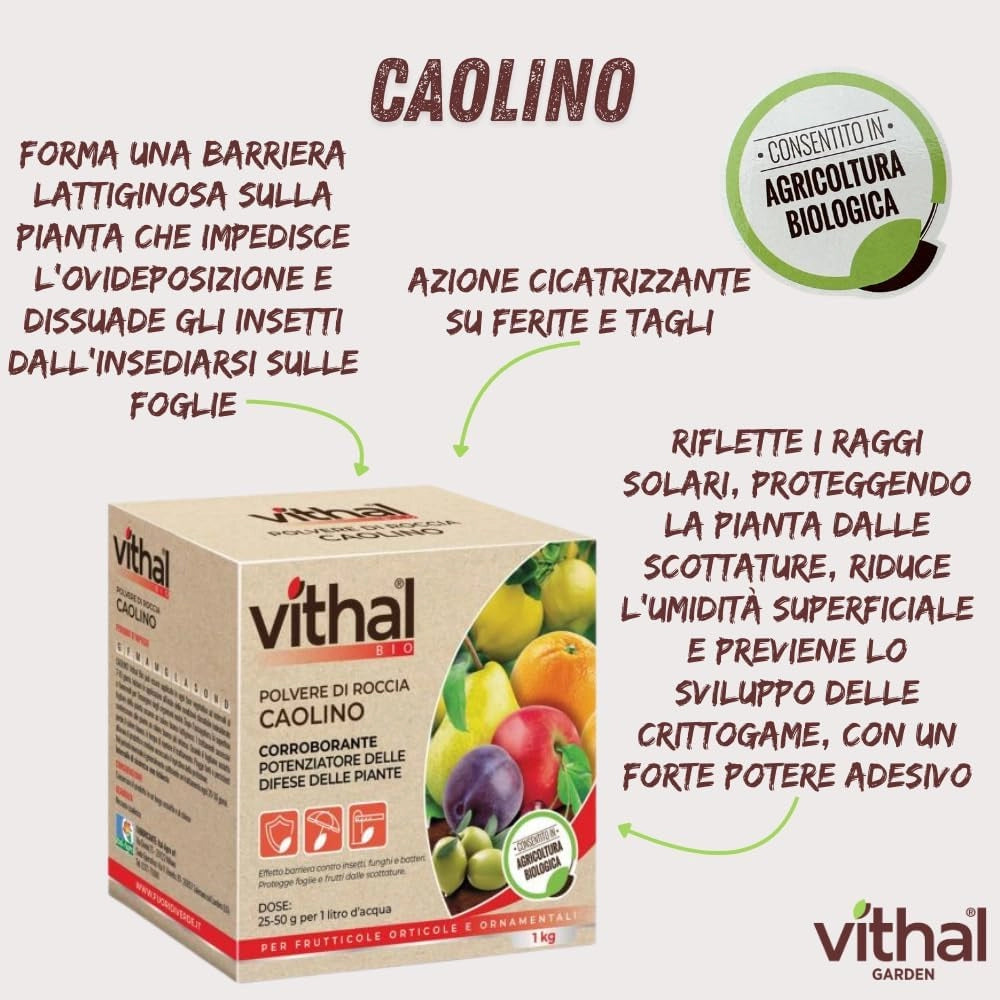 POLVERE DI ROCCIA CAOLINO VITHAL BIO  kg.1    VITHAL
