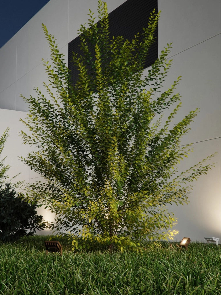 Sky Proiettore LED da Esterno 10W con Picchetto, Tecnologia Switch 3000K-4000K-5000K, Struttura in Alluminio Estruso, Finitura Corten Texturizzato