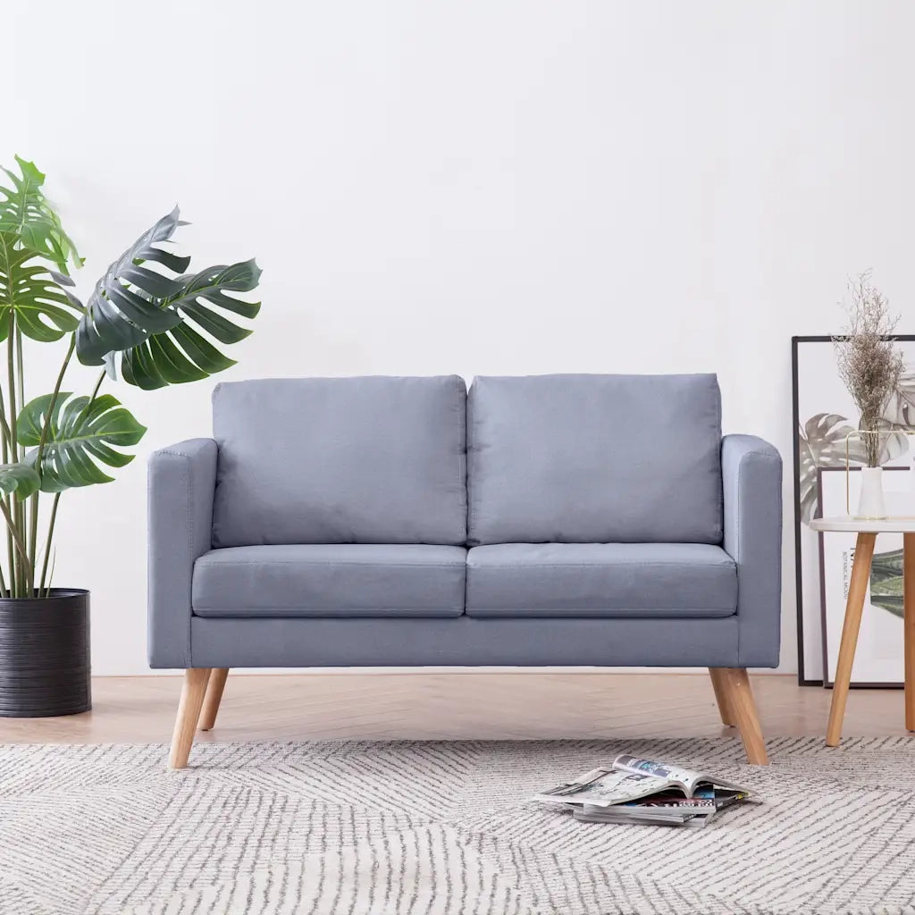 Divano | Divano da soggiorno | Sofa a 2 Posti in Tessuto Grigio Chiaro