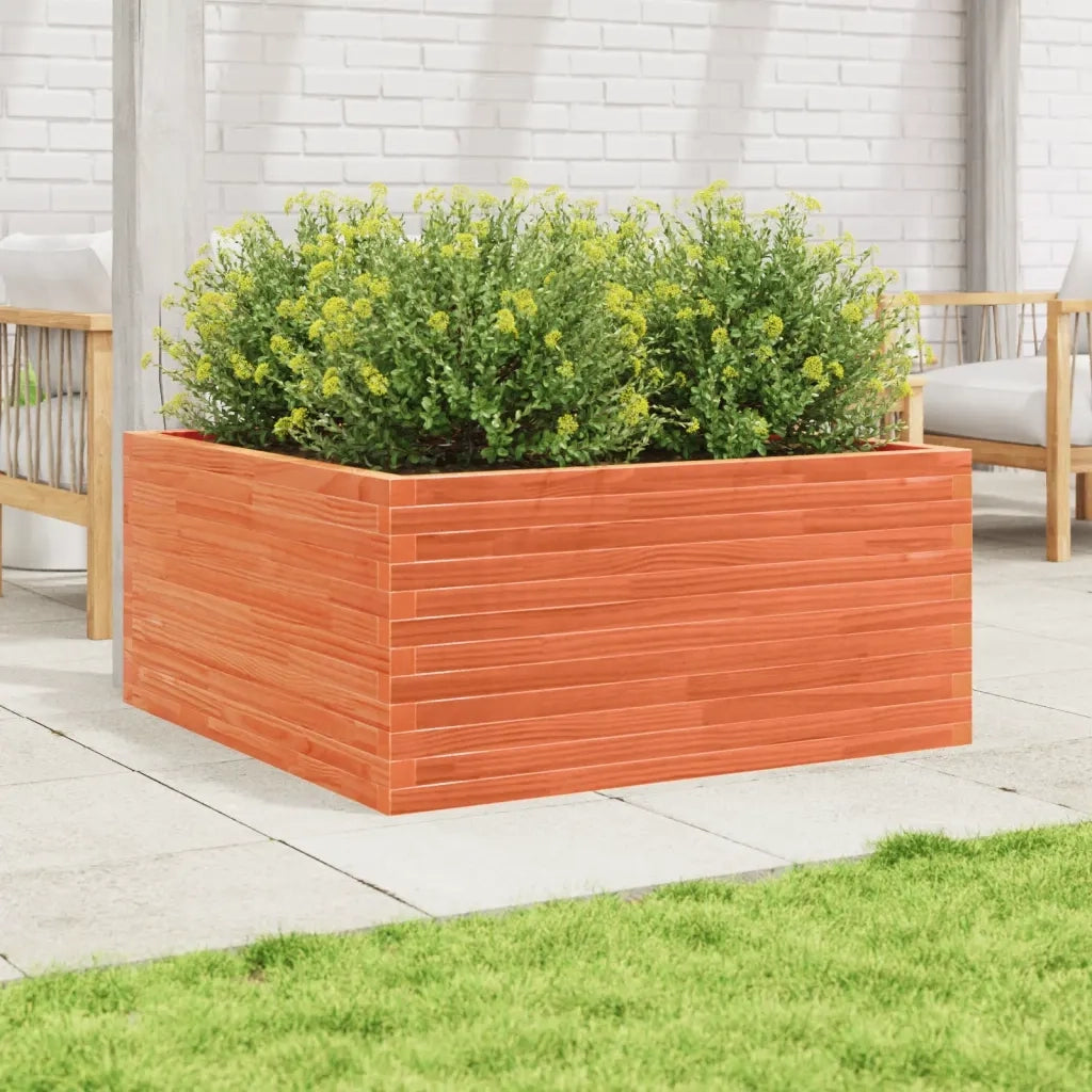 Fioriera | Cassetta per fiori | Vaso Giardino 100x100x46 cm Legno Massello Pino